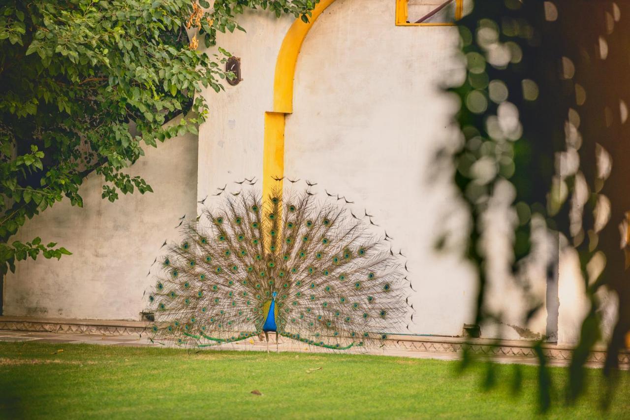 Diggi Palace - A City Center Hidden Heritage Gem Jaipur Eksteriør bilde